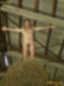 Goedkoop Neuken met Amateurhoer!