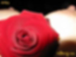 Wie wil er contact met mij?