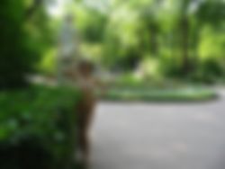 Zaterdag namiddag 18-8: bare creampie gb Melanie en Lieke