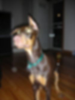 ZATERDAG 23/02***MEGA GEILE SLETTEN PARTY***