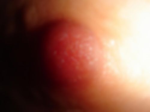 sm meubel – the cubeCompleet bdsm meubel voor de bondage sm liefhebber.