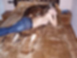 knap koppel zoekt man voor trio