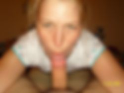 Vlaamse blonde ontvangt regio aarschot