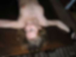 Zoek Dominante Man / Meester die me opleidt tot Zijn pijpslet en meer