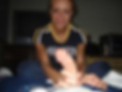 Tijger temster gezocht