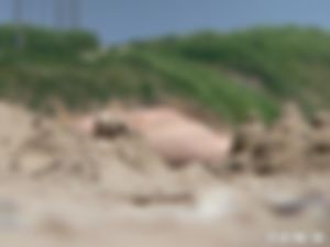 …ALLLEN REAL DATE AUB…TOT 70 JAAR….