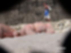 ESCORT CHANEL…..ESCORT LIMBURG…REAL GFE..XXX